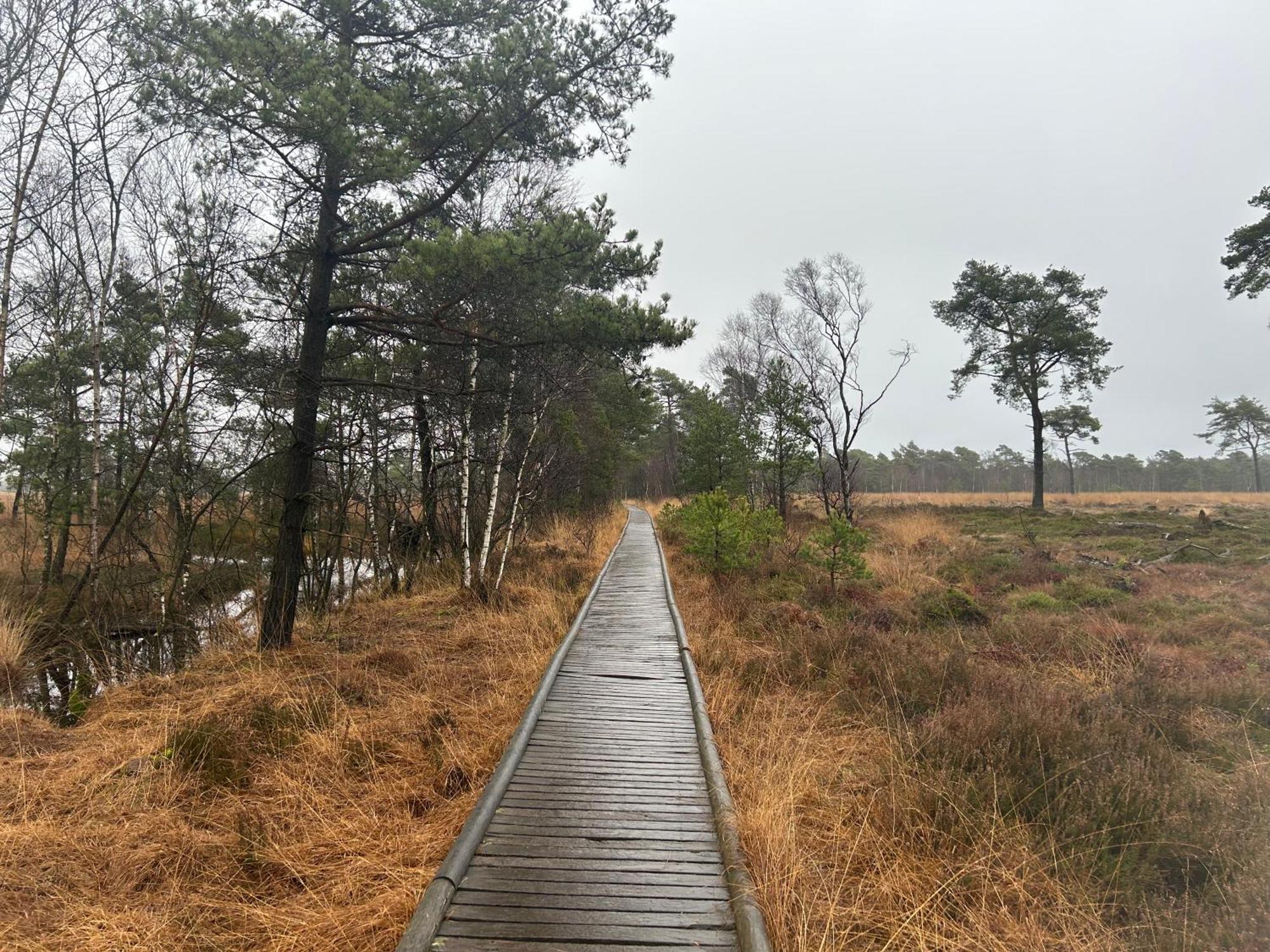 Ferienwohnungen Liedtke Bispingen Exterior foto